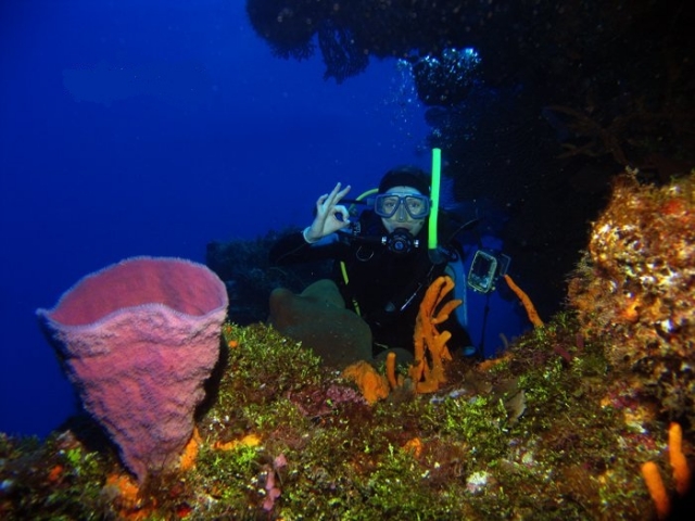 Fondo marino Cozumel
